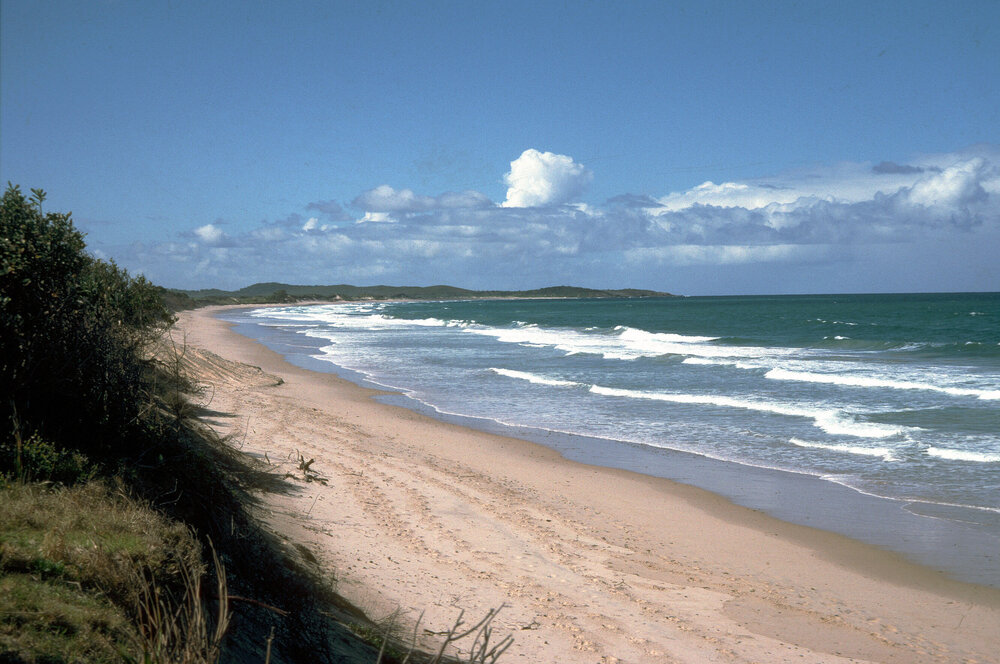 Wooli Beach, Wooli