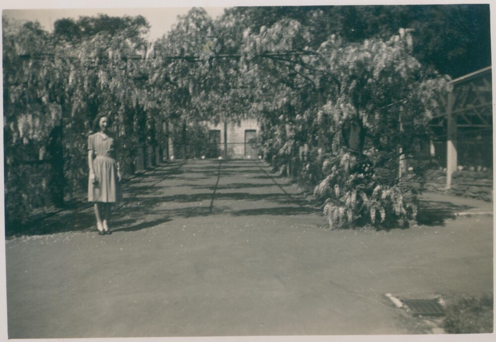 Woman Standing in front of House and Wisteria, Narrabeen, 1943