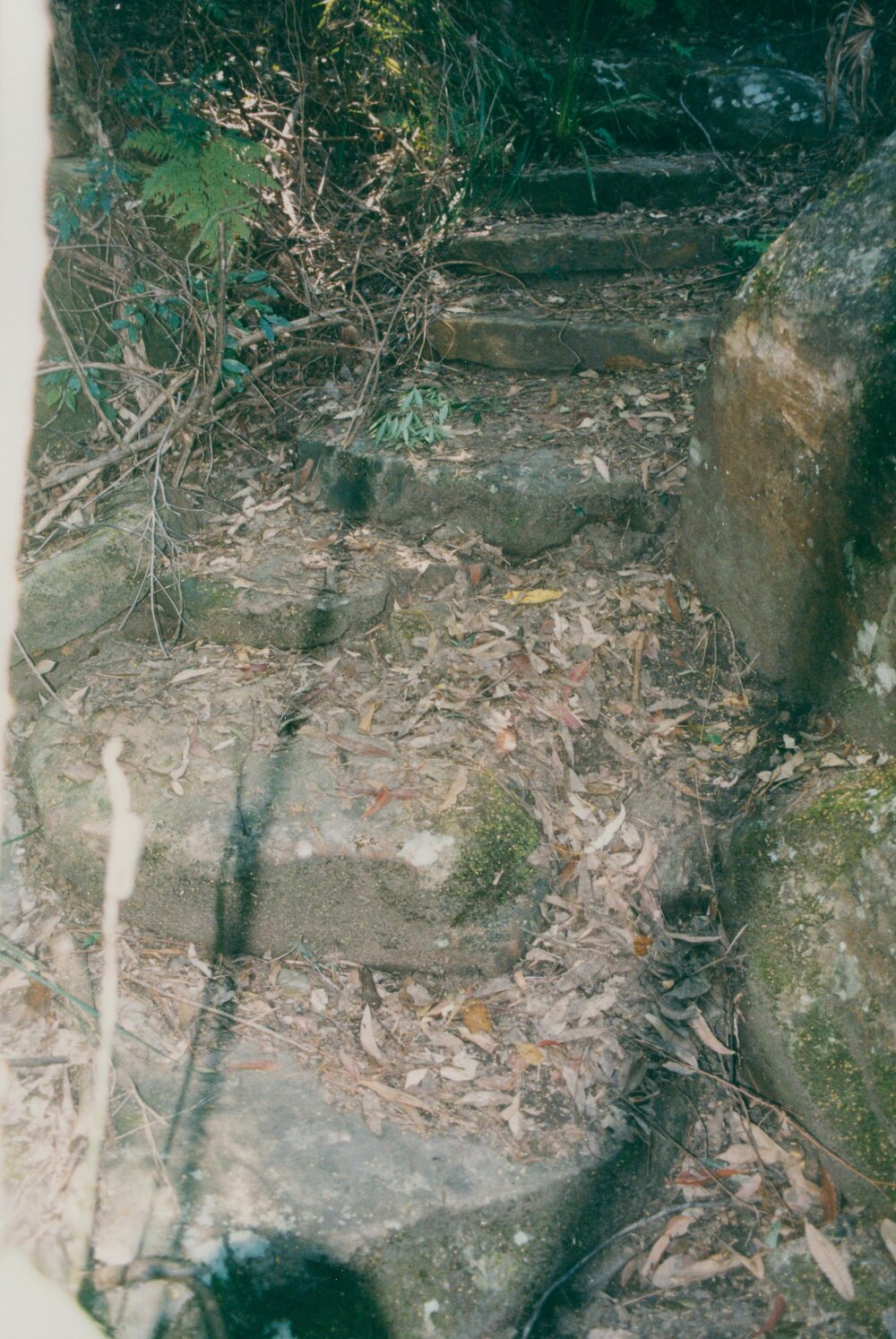 Stone steps on track from Lovett Bay to Lookout, 2003