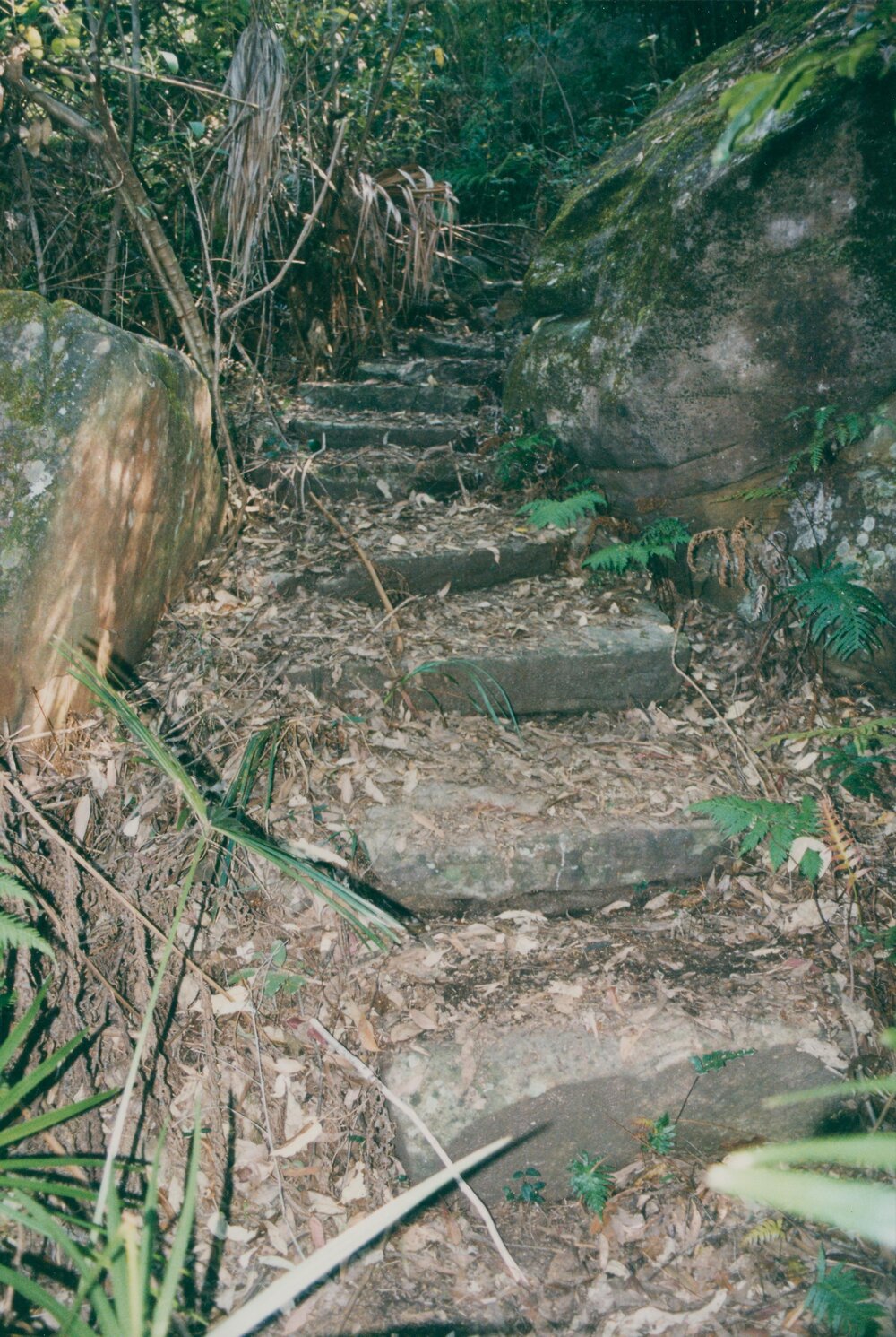 Stone steps on track from Lovett Bay to Lookout, 2003