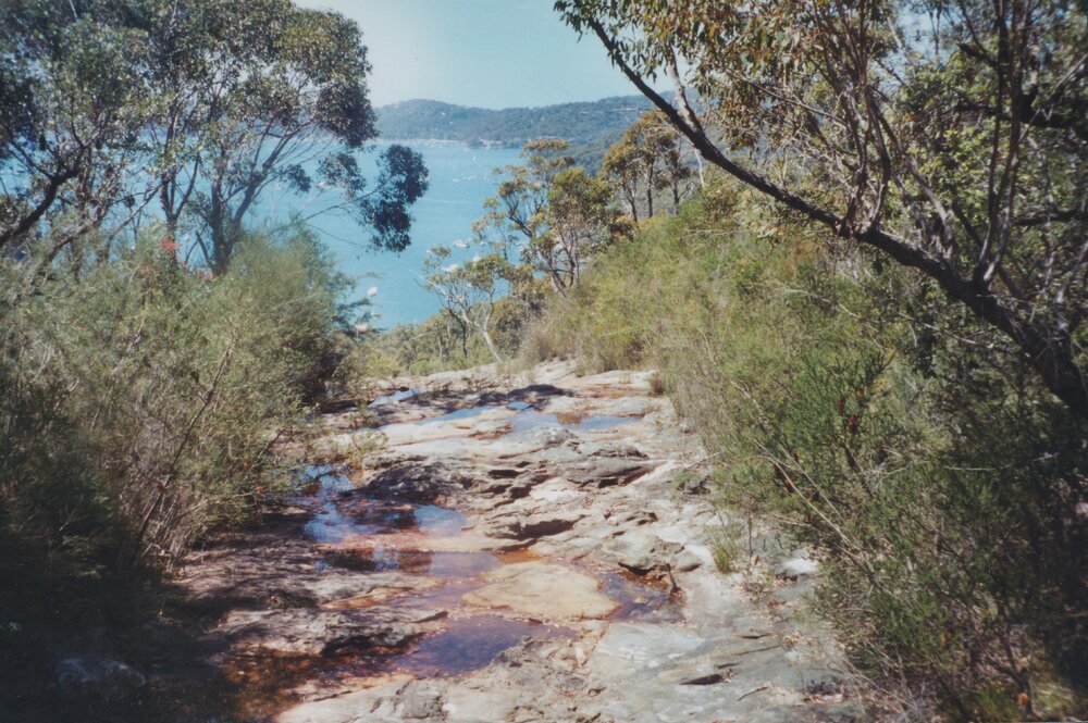 View from Linda Falls looking East, 2003