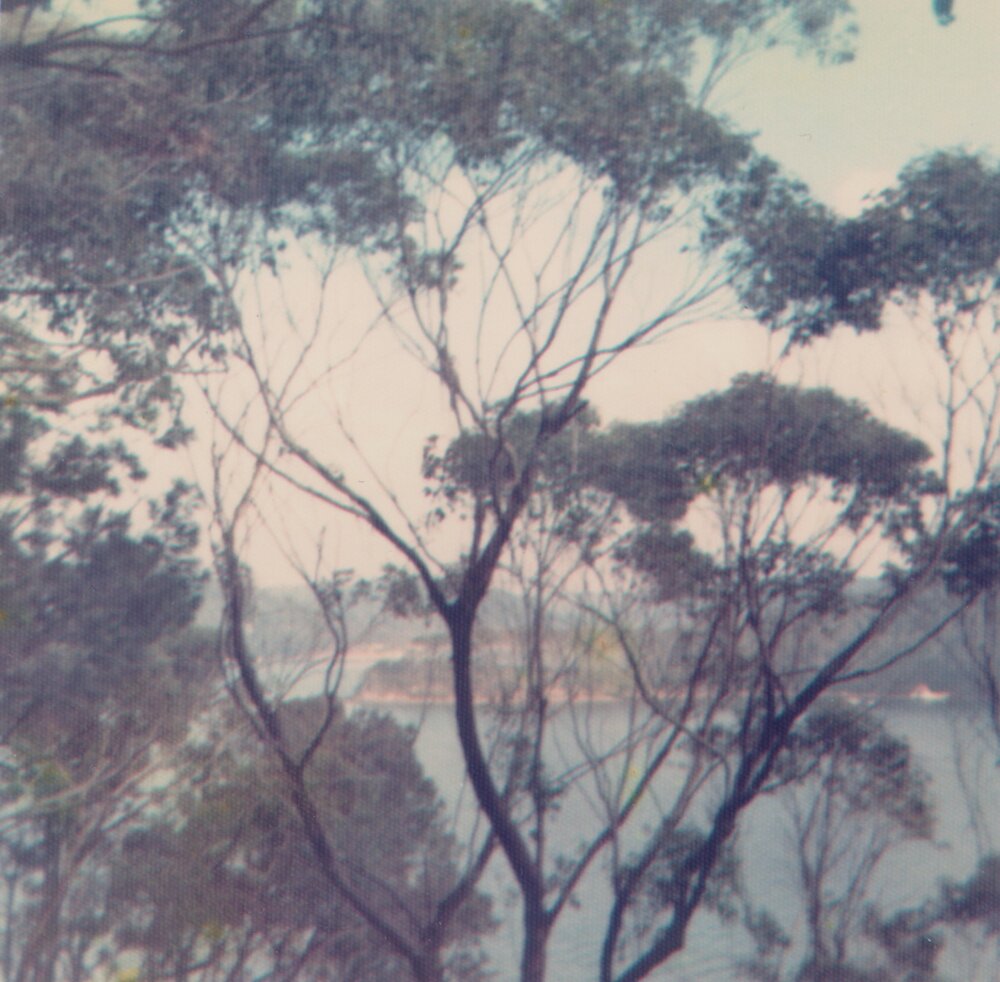 View from Morning Bay looking to Woody Point, c1970