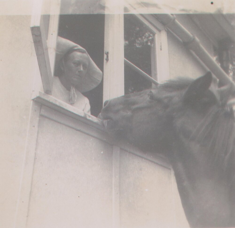 Horse at Window eating Mrs Gills Wheat-bix, Scotland Island, c1960