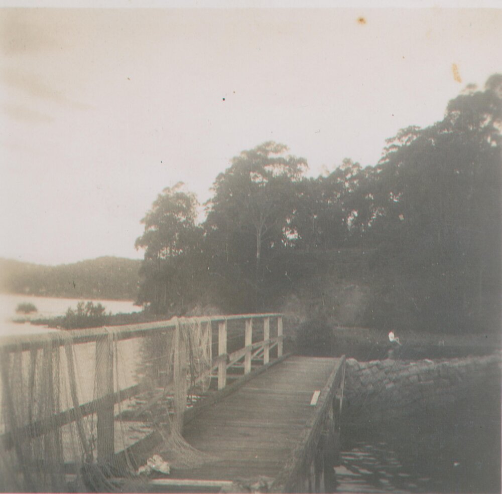 Tennis Court Wharf Showing fishing nets, Scotland Island, c1960