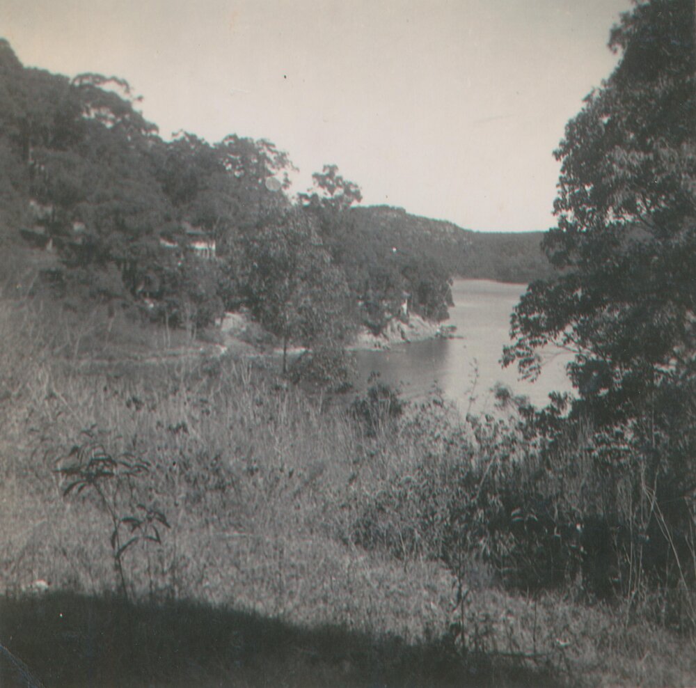 View of the Gill family block of land to the west, Scotland Island