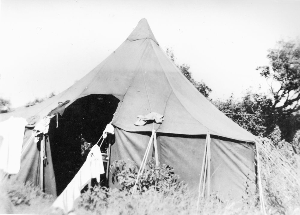 Camping in Army tent, North Curl Curl