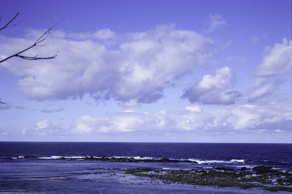 Rock Platform, Minnie Water