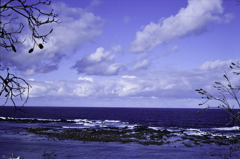 Rock Platform, Minnie Water, 1996