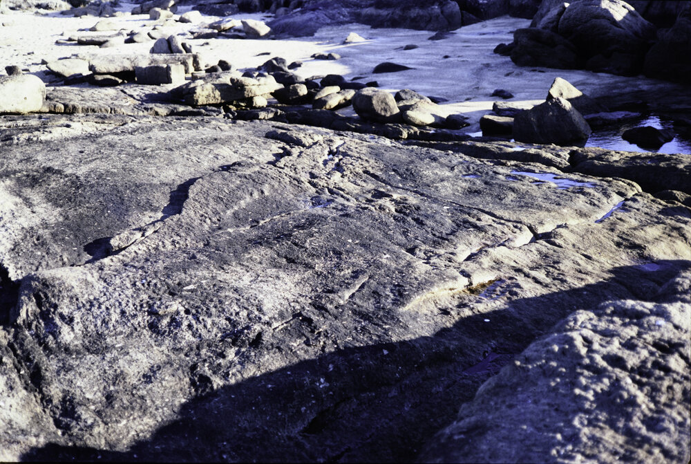 Blue Green Algae, Cape Leeuwin, 1986