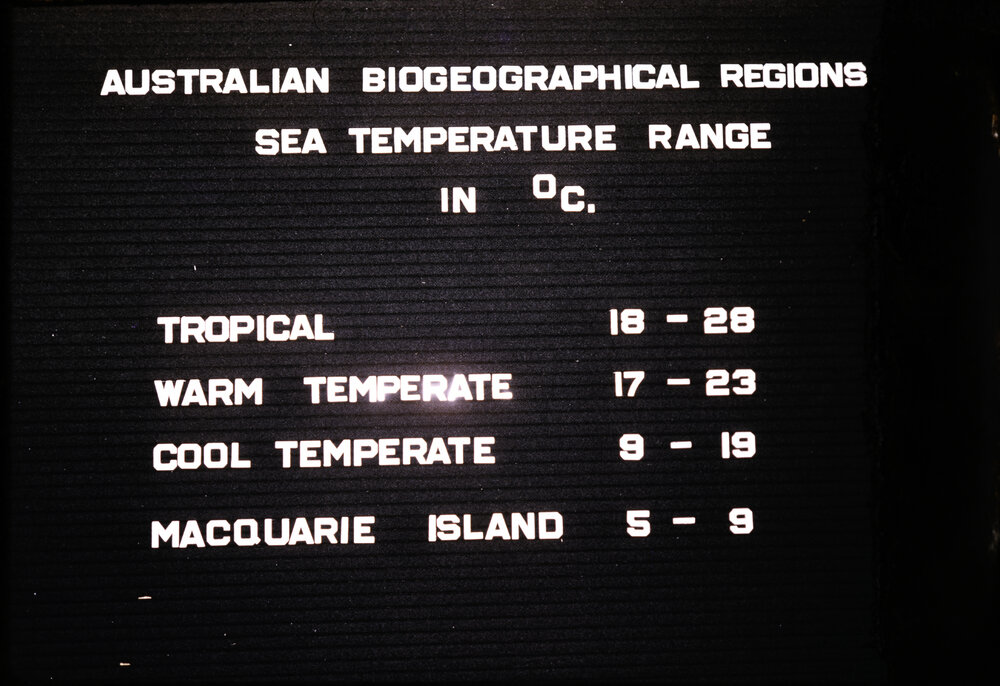 Sea temperature ranges of Eastern Australia