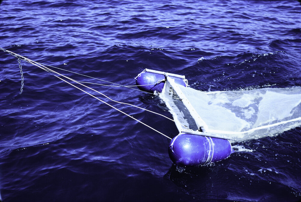 Plankton Net, 1986