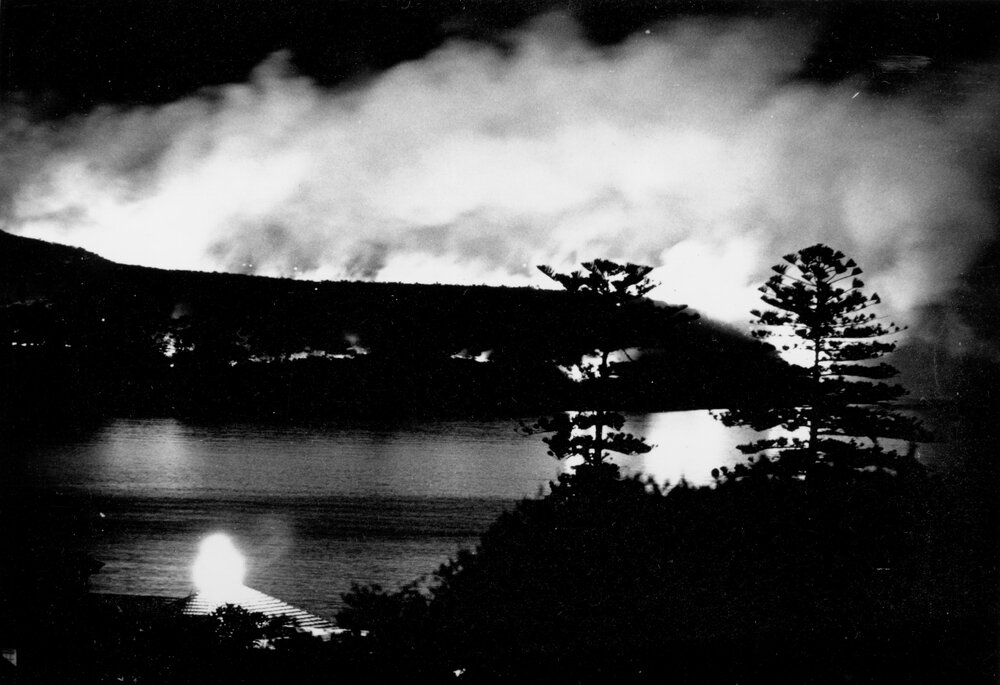 Fire at Dobroyd Head with Norfolk Island pines in foreground, Manly, c1967&ndash;1973