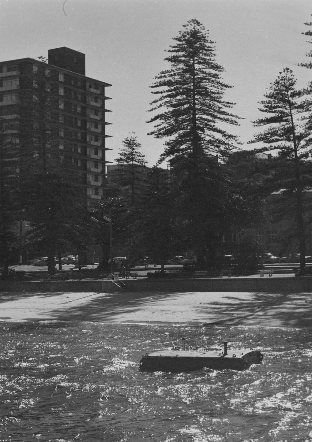 Manly Cove with Elizabeth Towers and Norfolk Island Pines, Manly, c1967-1973
