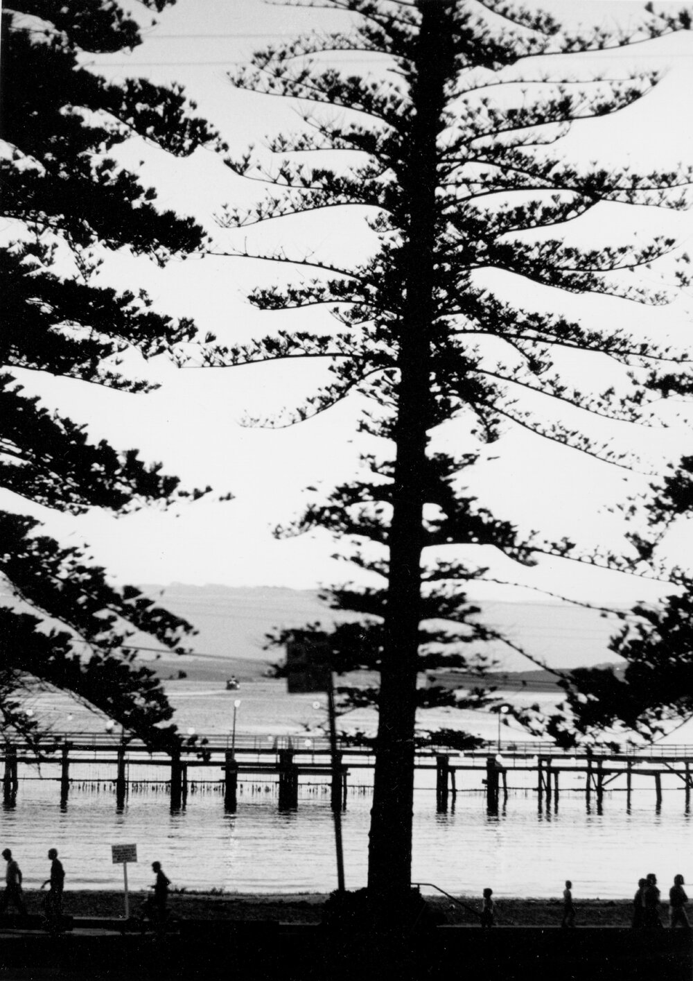 View of the esplanade and boardwalk at Manly Cove, c1967&ndash;1973