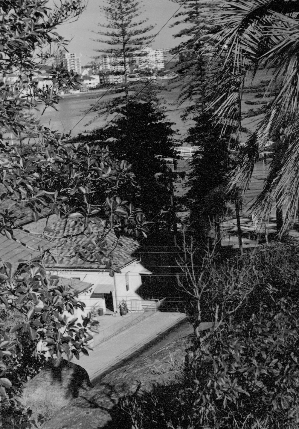 Obstructed view across Manly Cove from the western shore, Manly, c1967&ndash;1973
