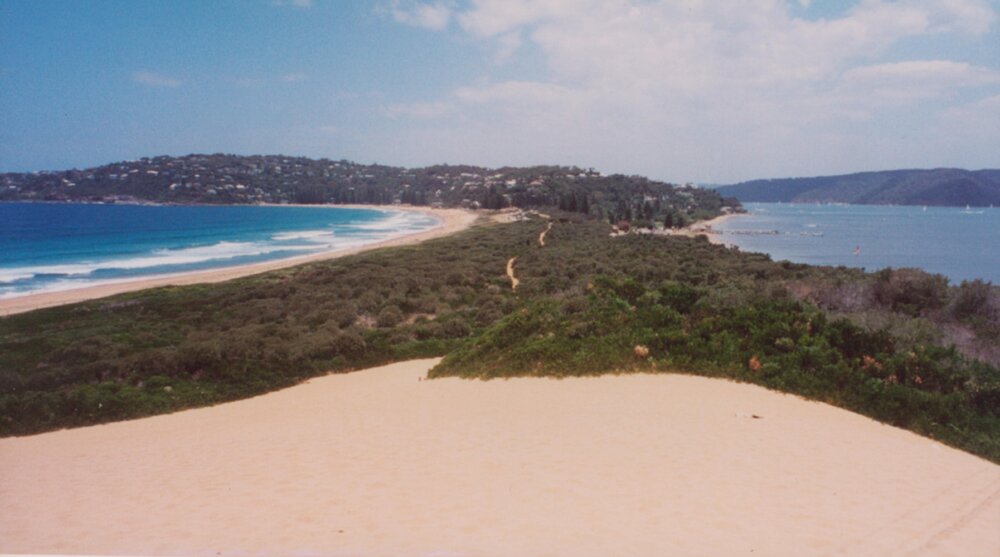 View looking south along the coastline, Palm Beach, 2002