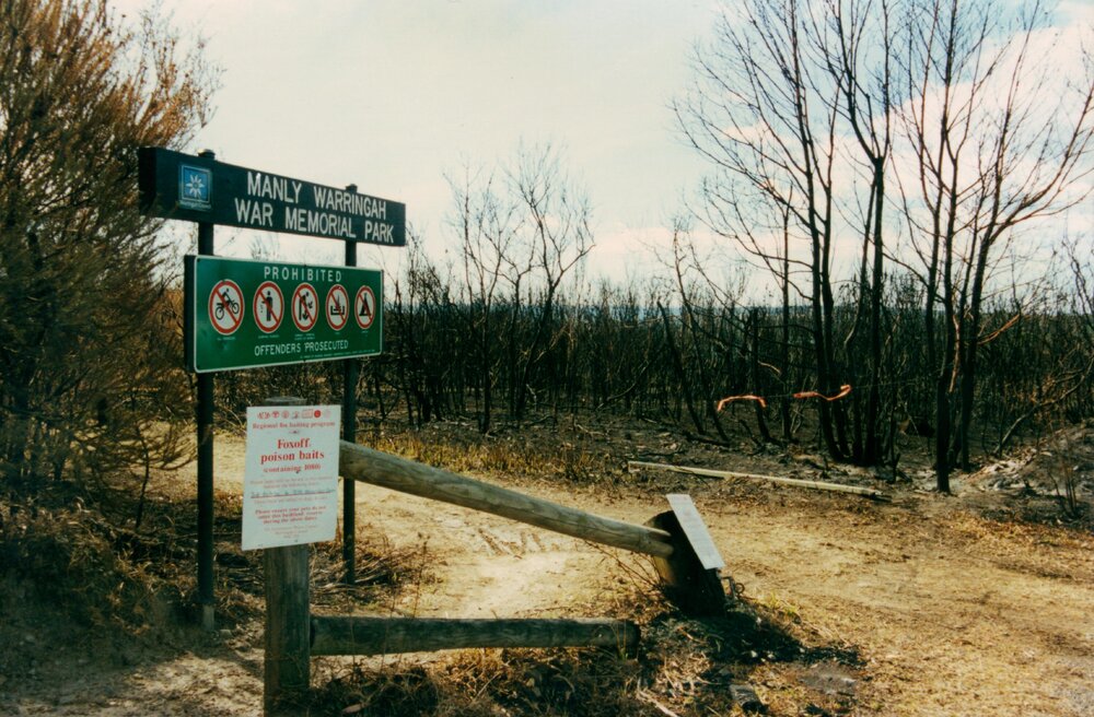 Manly Dam fire damage, Manly, 2000