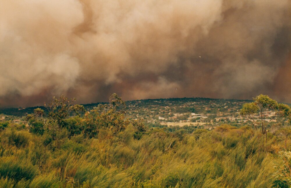 Red Hill bush fire, Frenchs Forest, 1994