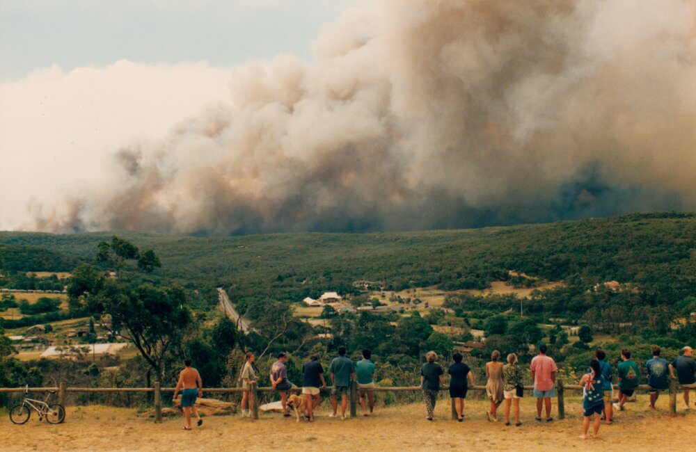 Fire viewed from lookout, Frenchs Forest, 1994