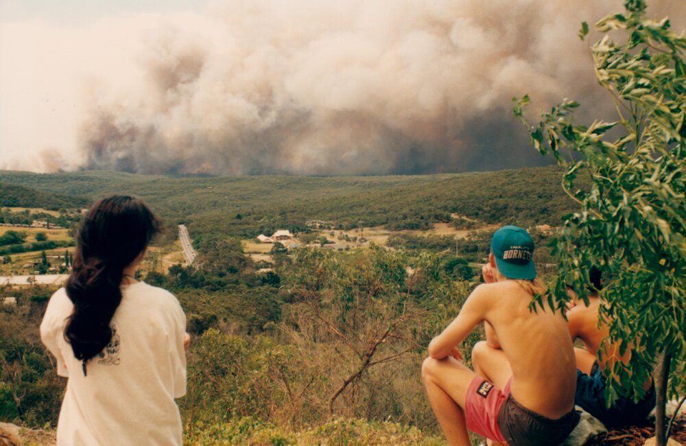 Bush fire viewing point at Frenchs Forest, 1994