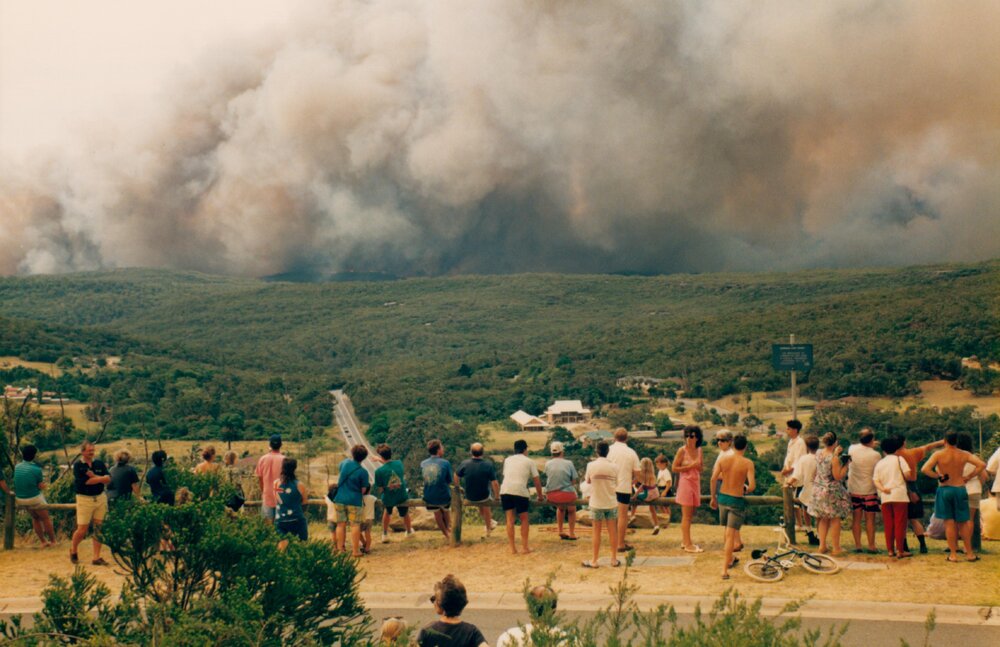 Bush fire viewing point at Frenchs Forest, Frenchs Forest, 1994