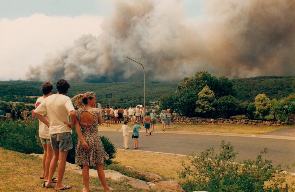 Bush fire viewing point at Frenchs Forest, Frenchs Forest, 1994