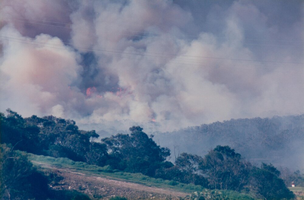 Bush fire smoke over Allambie Heights, Allambie Heights, 1990