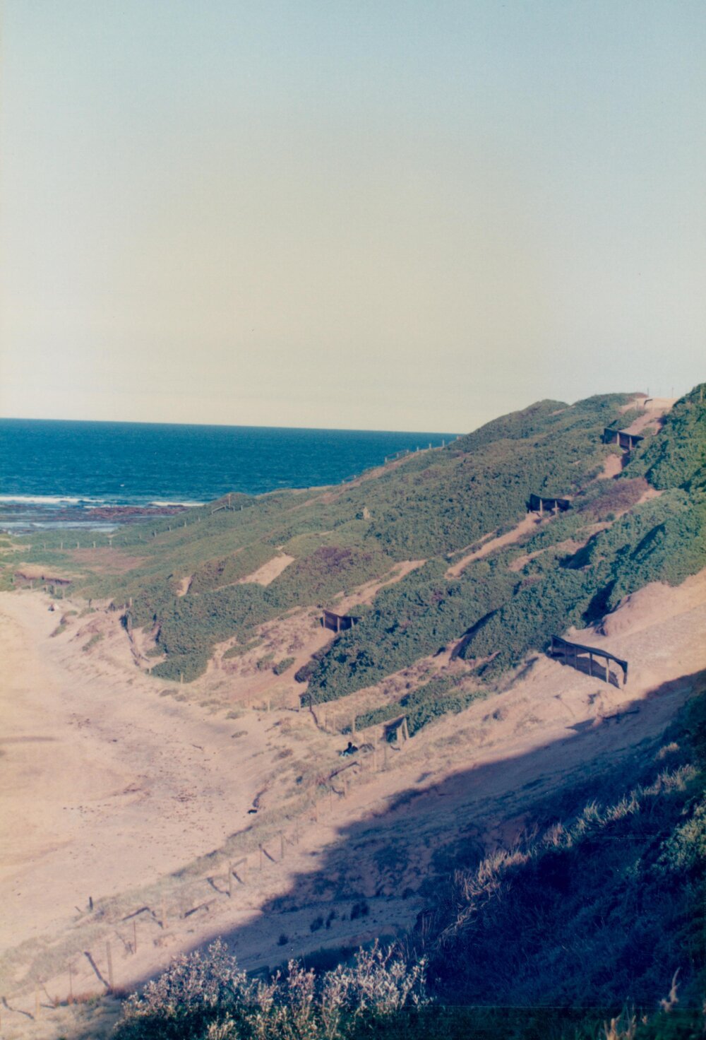 Coastal dunes near Long Reef golf course, Long Reef, 1992
