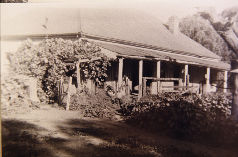 Back of the Larkin Family home, The Pines at the corner of Mona Vale Road and Powderworks Road, Ingleside, 1916