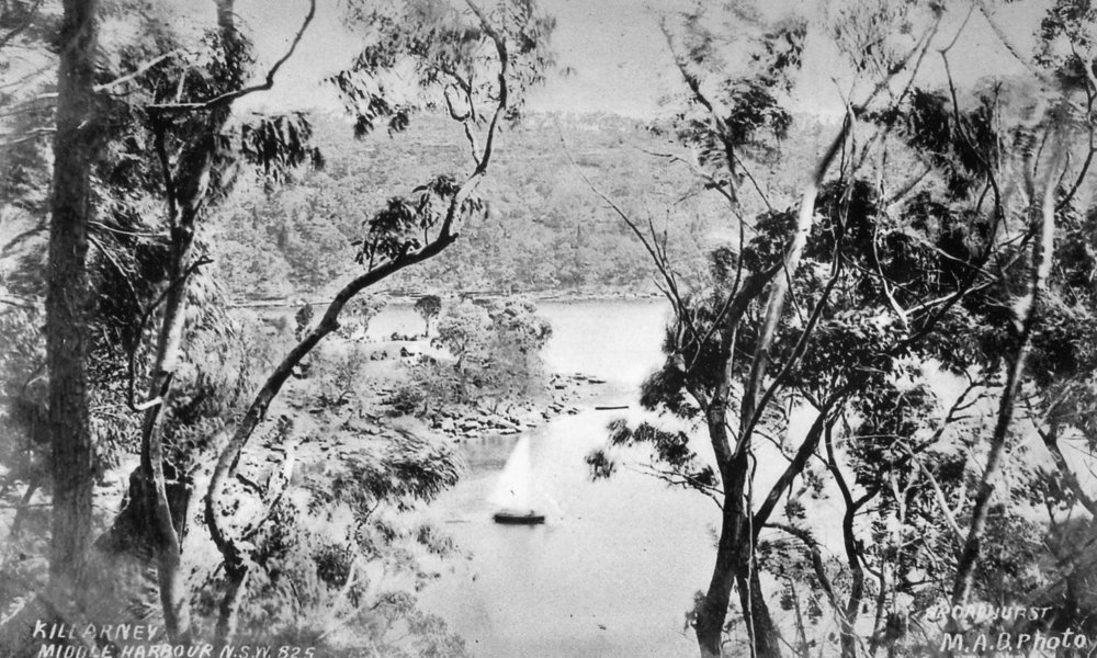 Killarney Point and Middle Harbour