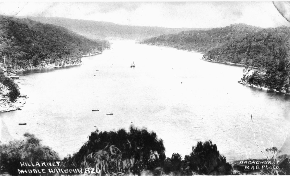 Killarney Point and Middle Harbour