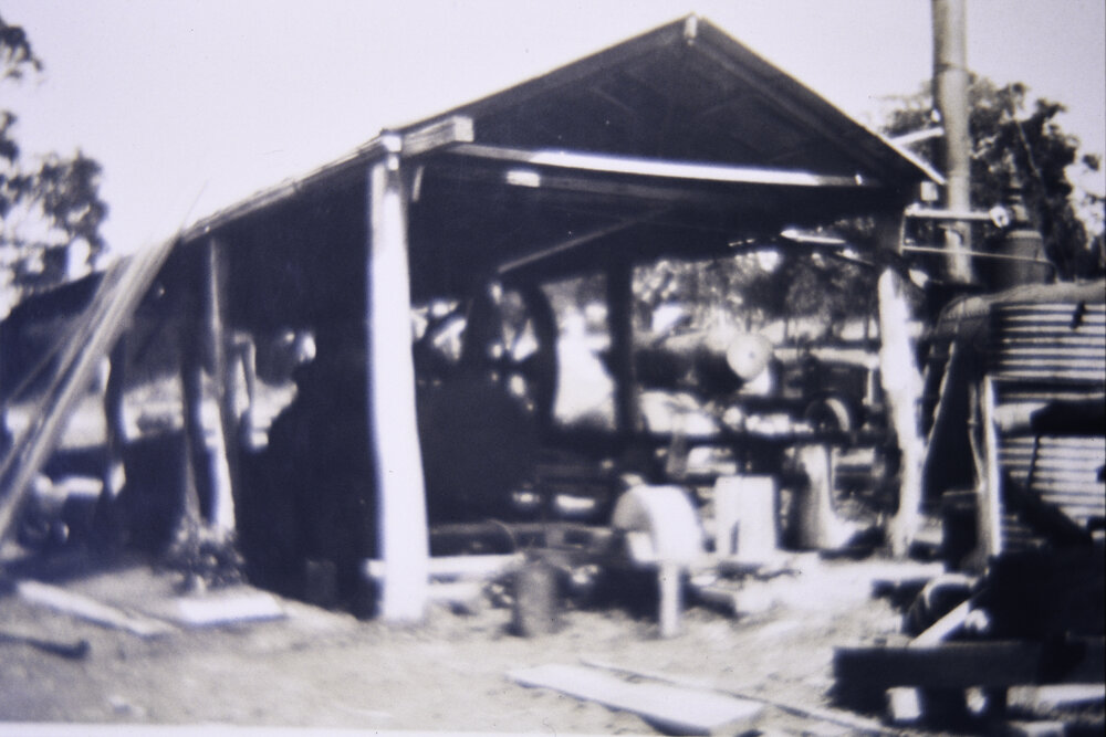 Machon's Timber Mill, North Narrabeen, c1930