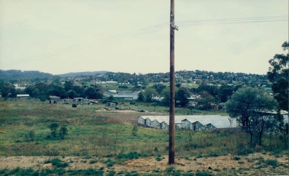 Warriewood Valley 1987