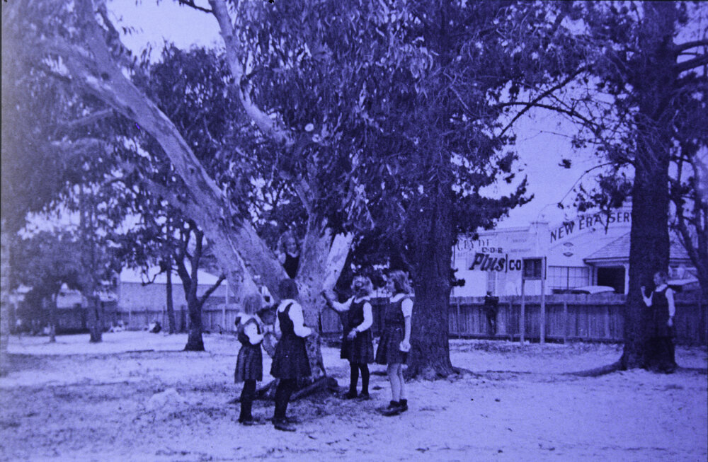 Balgowlah Public School Playground, Seaforth, 1940s