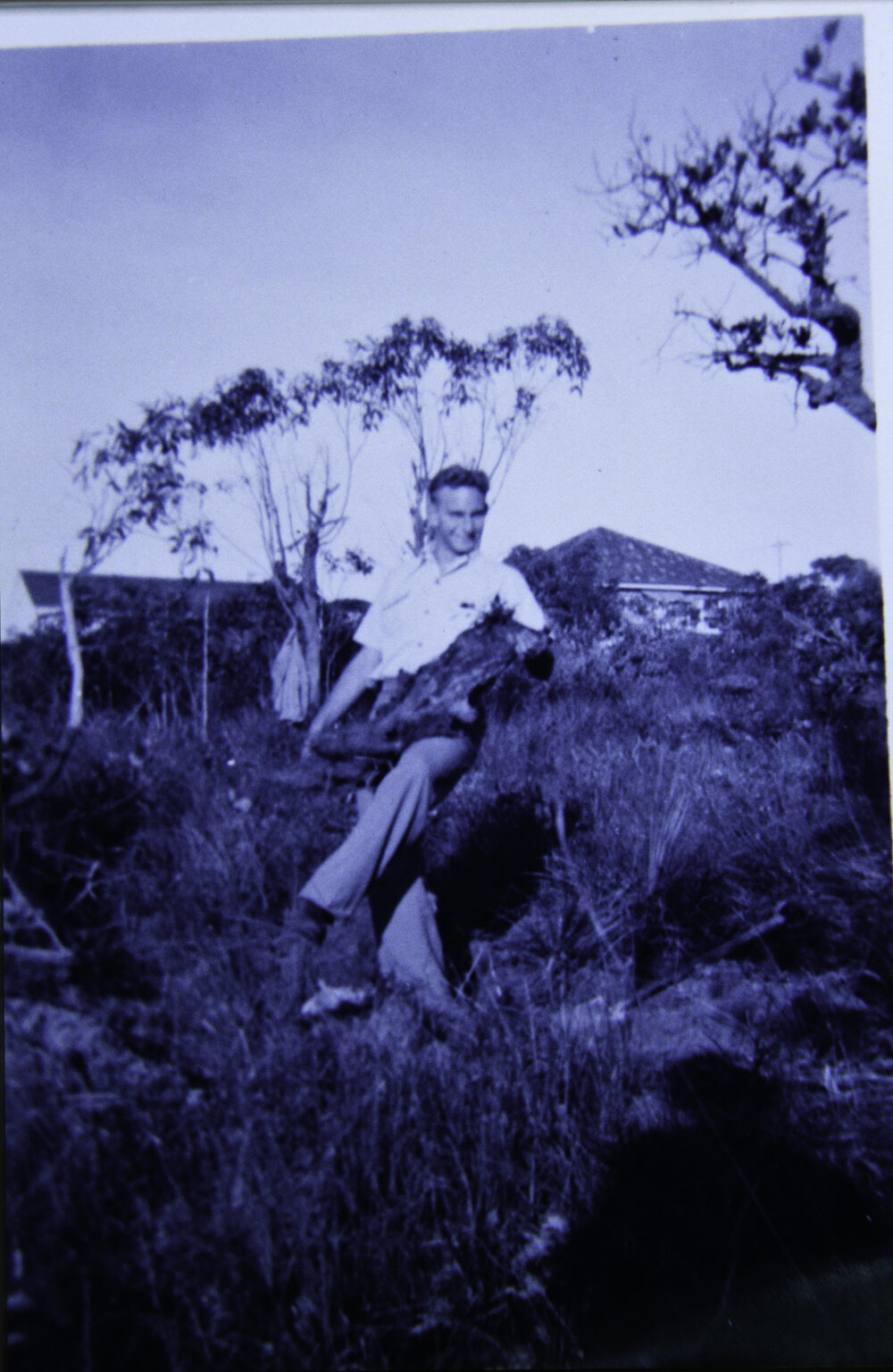 Clearing the site for building, Collaroy Plateau, c1955
