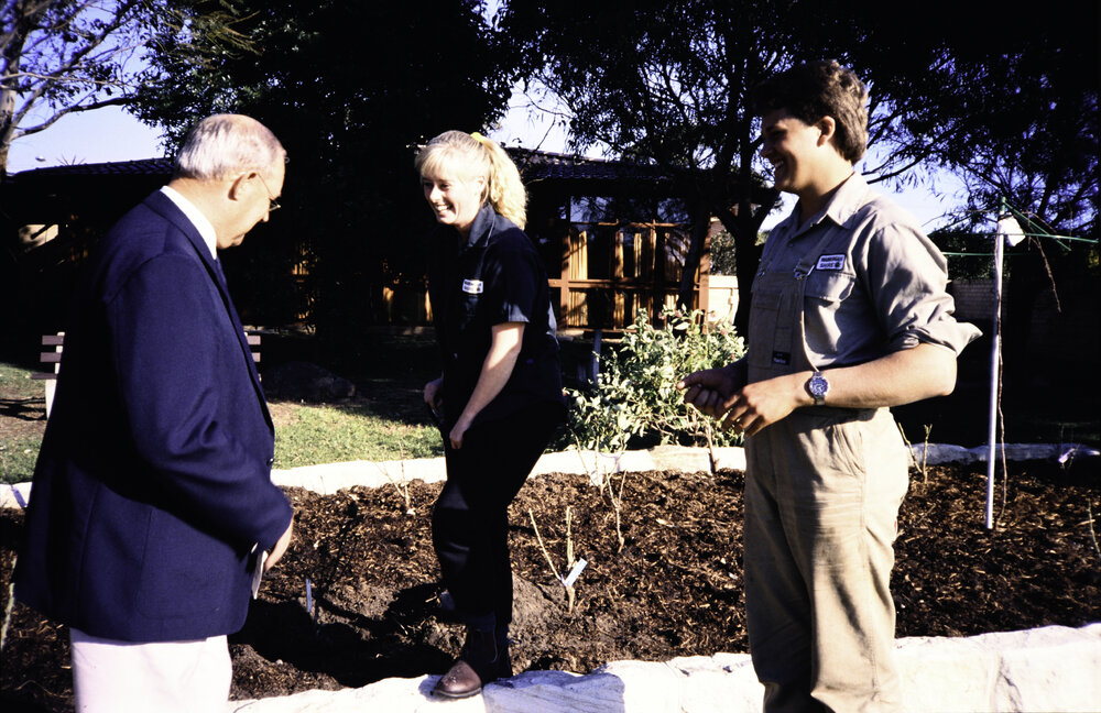 Warringah Shire staff assisting at the opening of the Nelson Heather Bicentennial Rose Garden, Warriewood, 1988