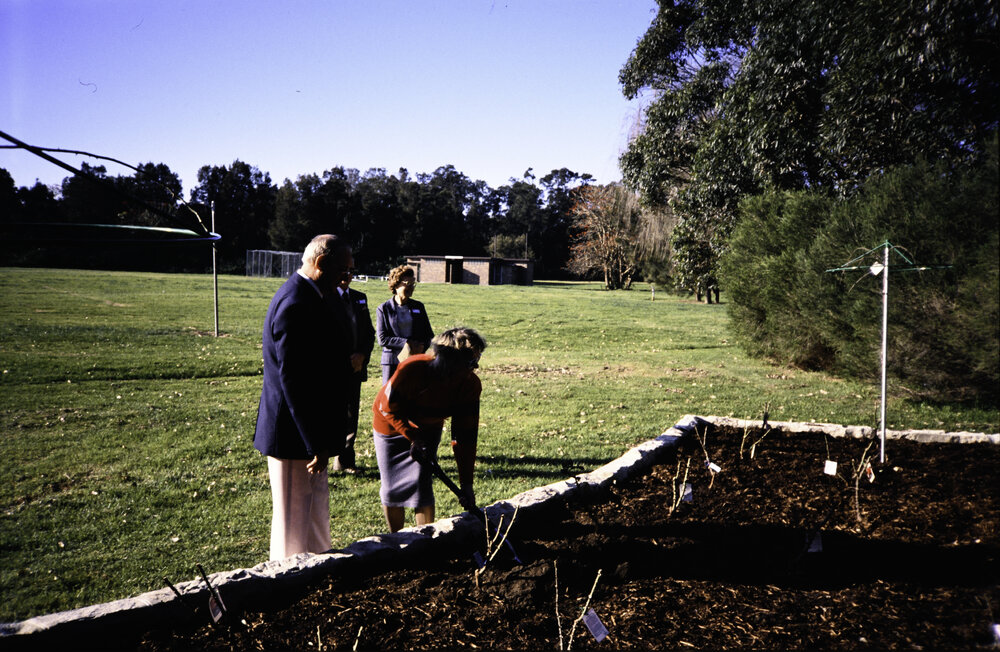 Two individuals planting at the opening of the Nelson Heather Centre Bicentennial Rose Garden, Warriewood, 1988
