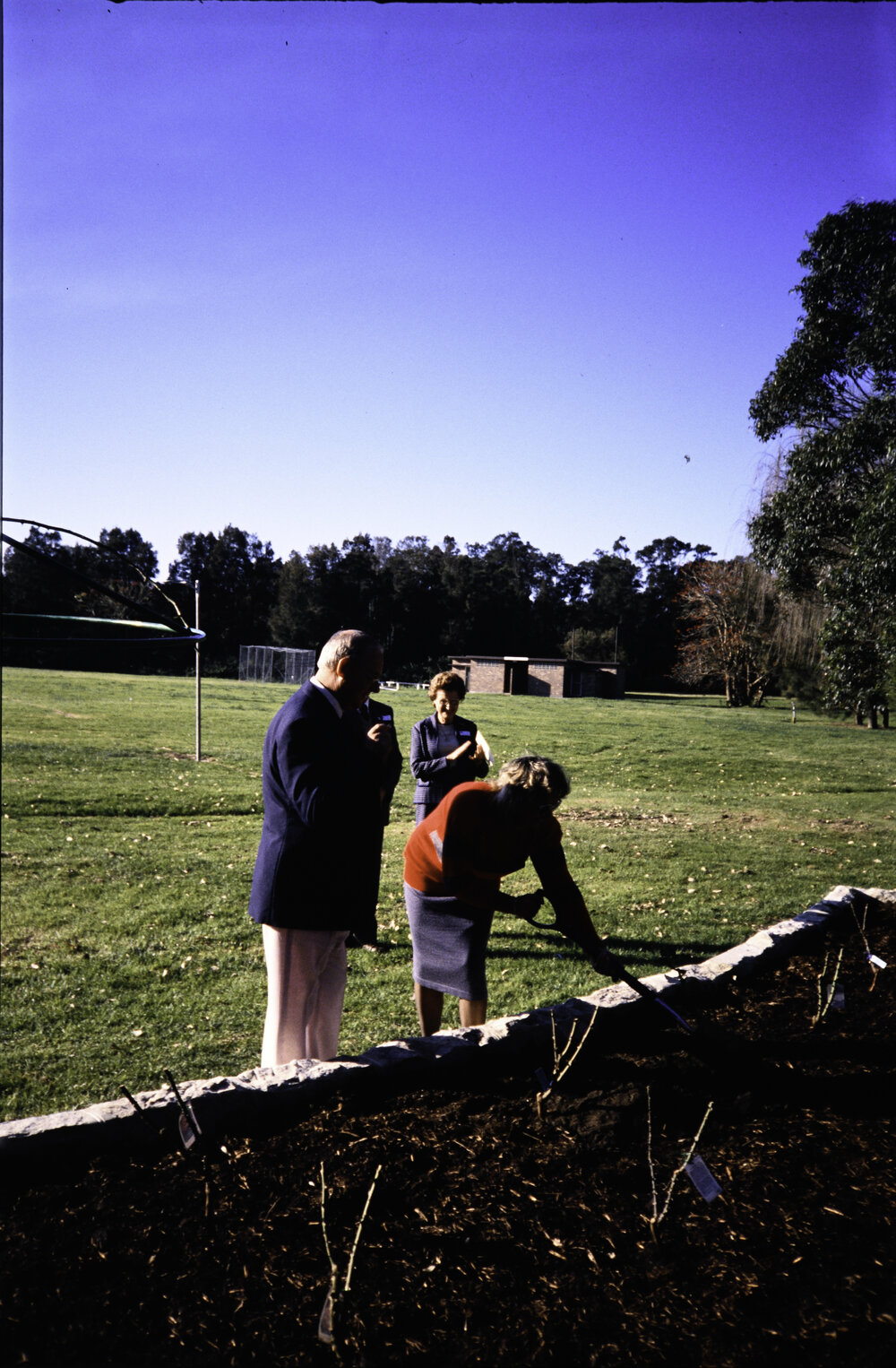 Two individuals planting at the opening of the Nelson Heather Centre Bicentennial Rose Garden, Warriewood, 1988
