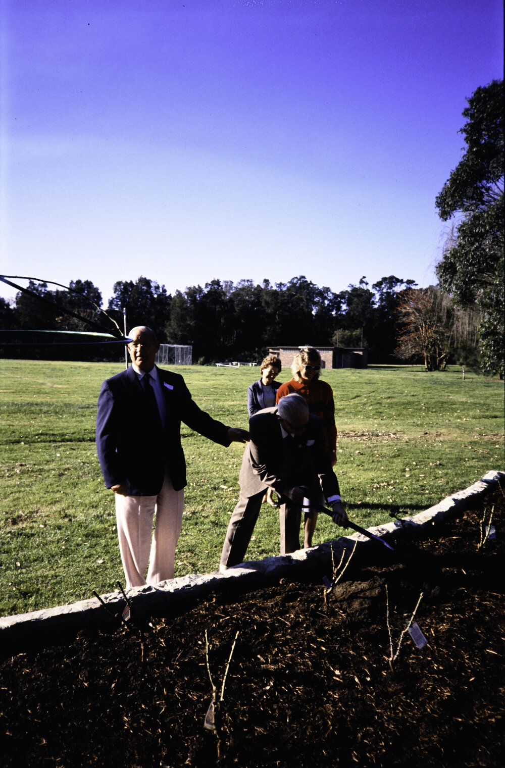 Two individuals planting at the opening of the Nelson Heather Centre Bicentennial Rose Garden, Warriewood, 1988