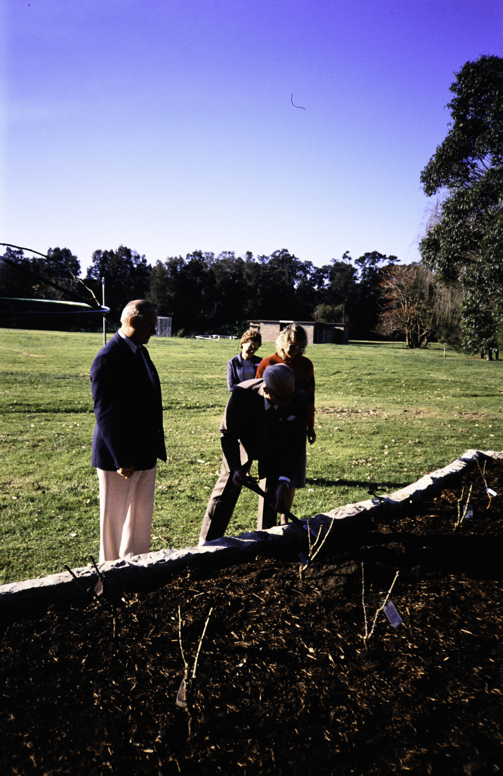 Two individuals planting at the opening of the Nelson Heather Centre Bicentennial Rose Garden, Warriewood, 1988