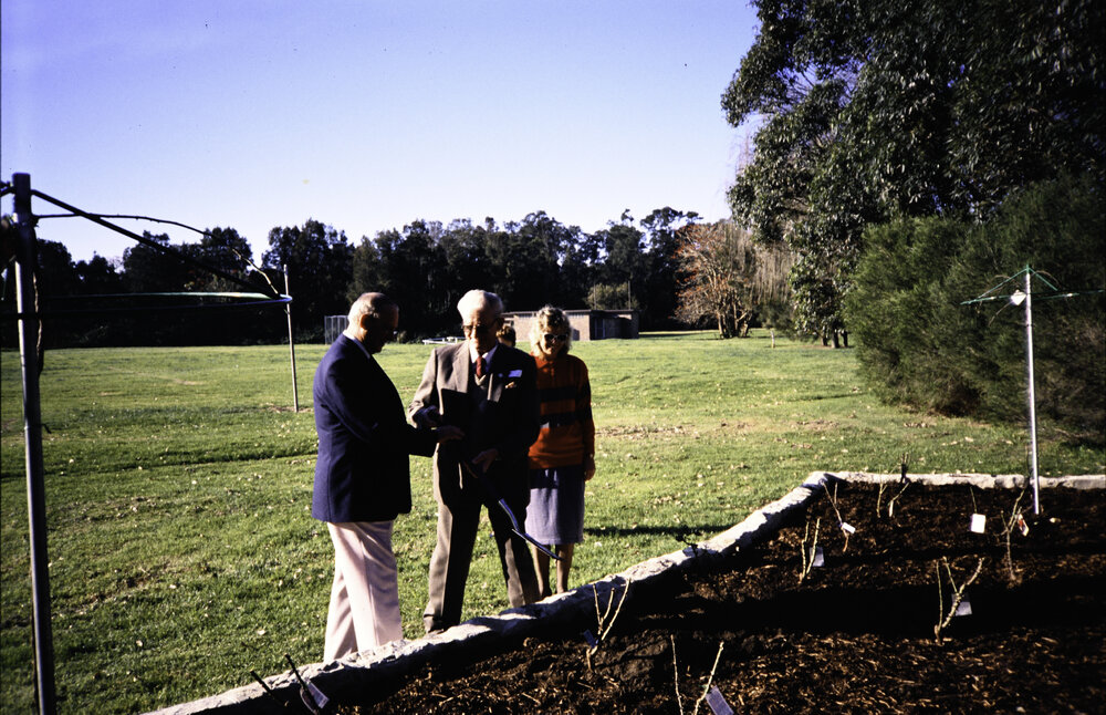 Handing over the shovel at the opening of the Nelson Heather Centre Bicentennial Rose Garden, Warriewood, 1988