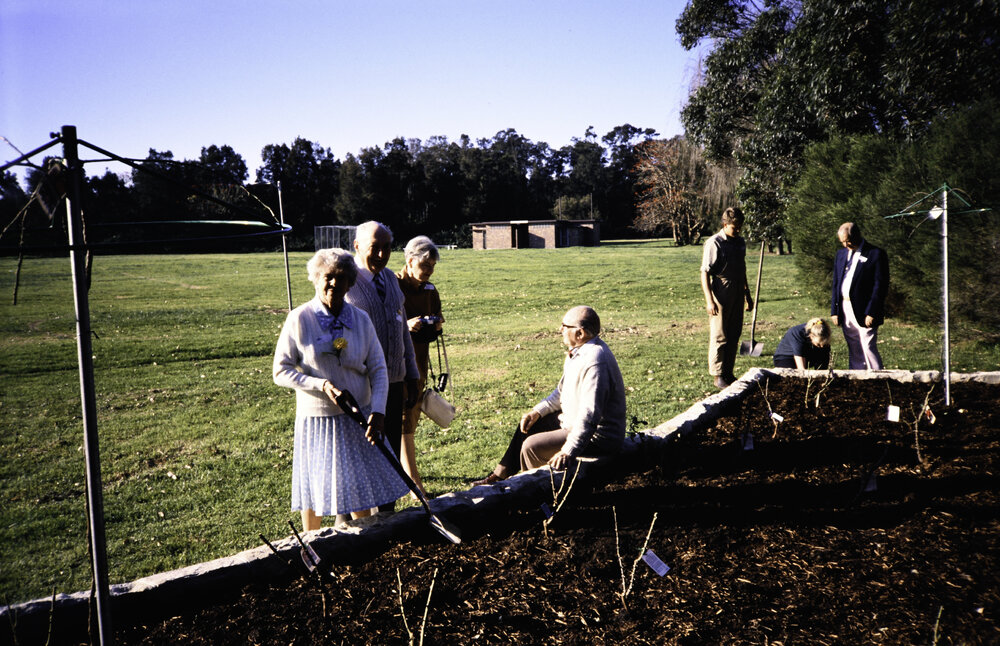 Rose and Wal Ling Planting at the opening of the Nelson Heather Centre Bicentennial Rose Garden, Warriewood, 1988