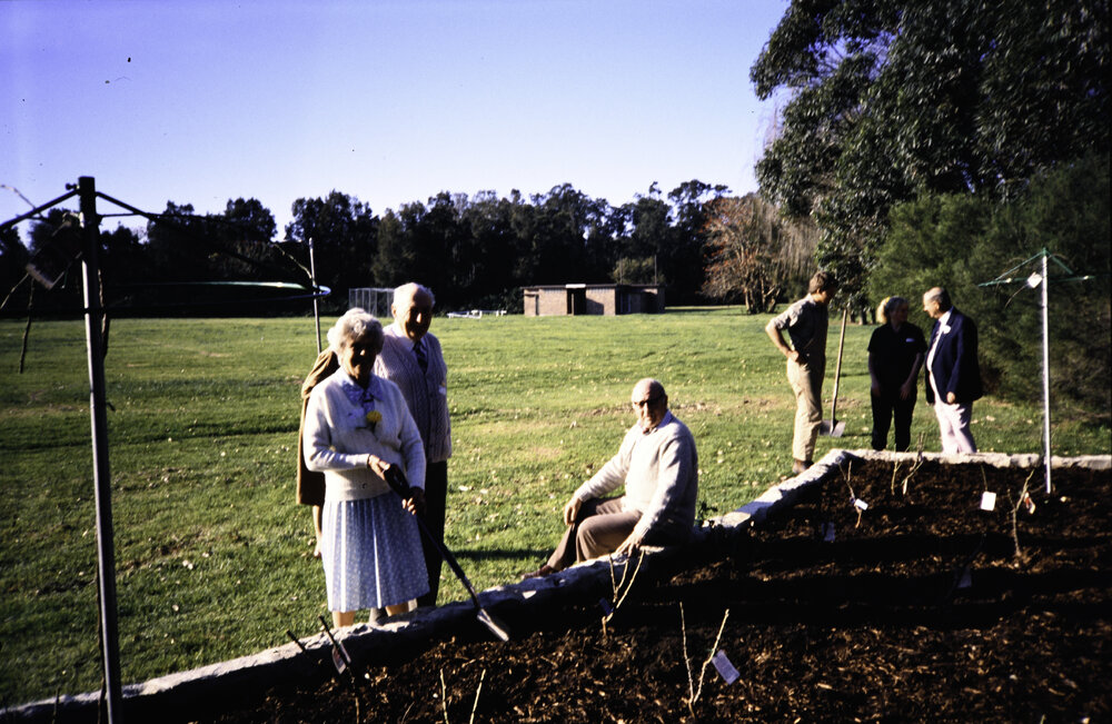 Rose and Wal Ling Planting at the opening of the Nelson Heather Centre Bicentennial Rose Garden, Warriewood, 1988