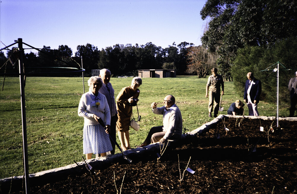 Rose and Wal Ling Planting at the opening of the Nelson Heather Centre Bicentennial Rose Garden, Warriewood, 1988