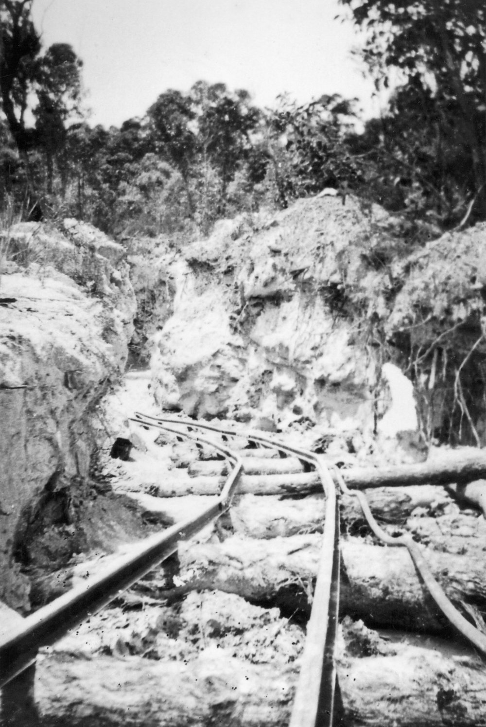 Clay pit at Duffys Forest