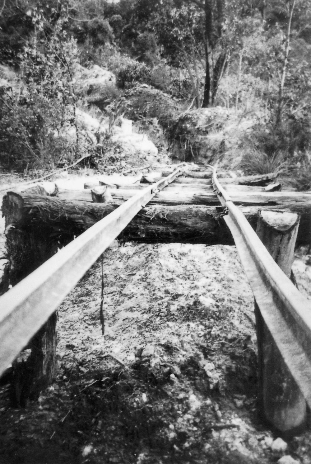 Clay Pit at Duffys Forest