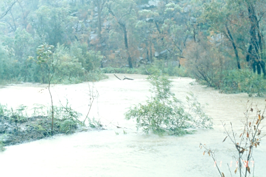 Middle Creek flooding Narrabeen Lagoon