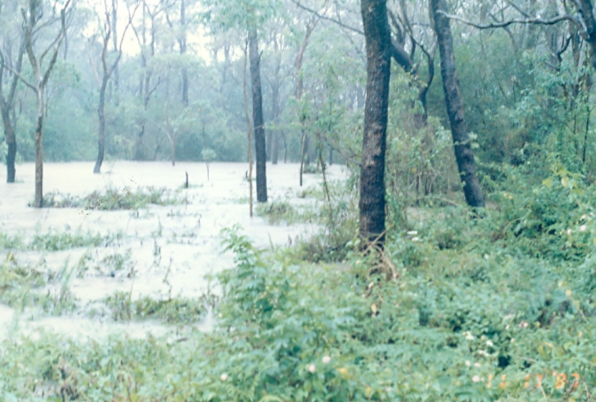 Middle Creek flooding, Narrabeen Lagoon