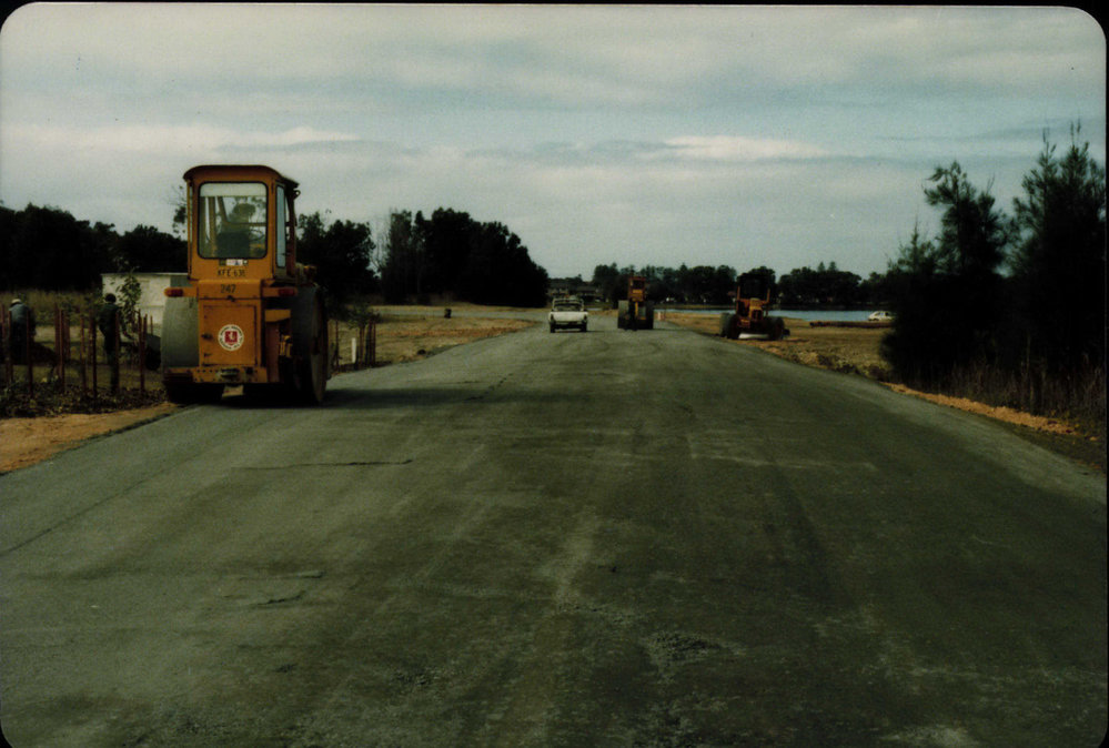 Tree Planting on the shores of Narrabeen Lagoon, Bilarong Reserve