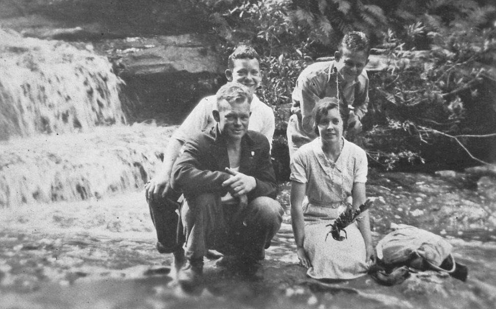 Tracey Creek at Deep Creek gully, Narrabeen